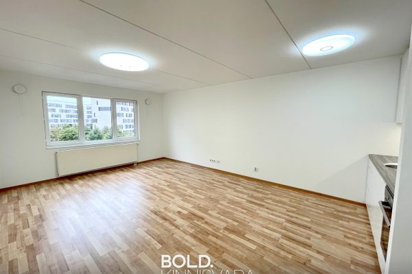 RENOVEERITUD JA SÄÄSTLIK KORTER LASNAMÄEL